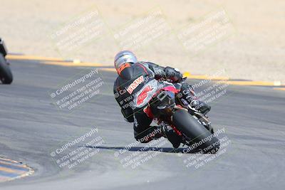 media/Mar-10-2024-SoCal Trackdays (Sun) [[6228d7c590]]/9-Turn 8 Backside (1150am)/